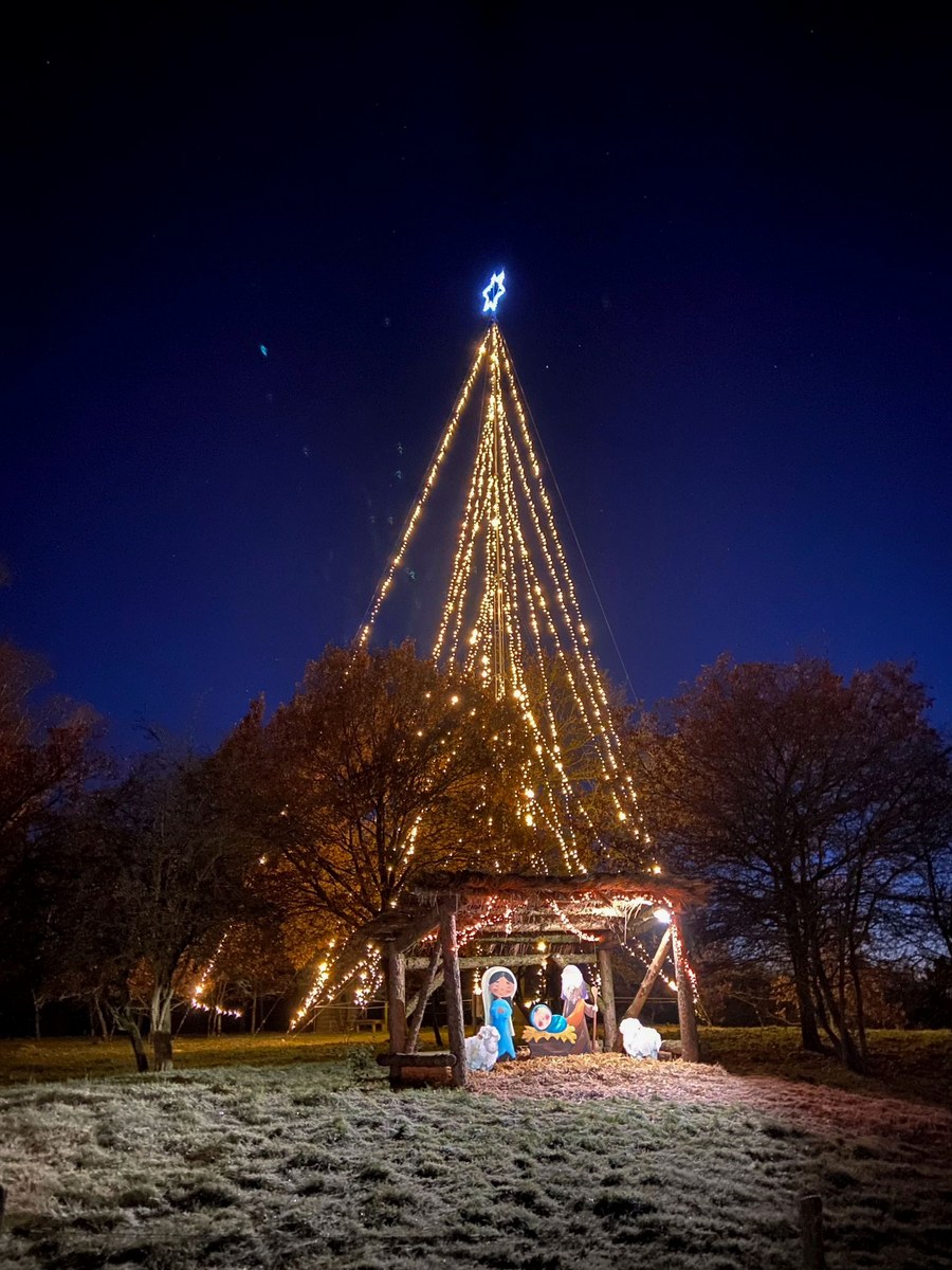 Lichtboom bij Zeddam Verlicht